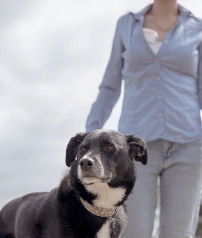 MUMILK OG BREAST PUMP