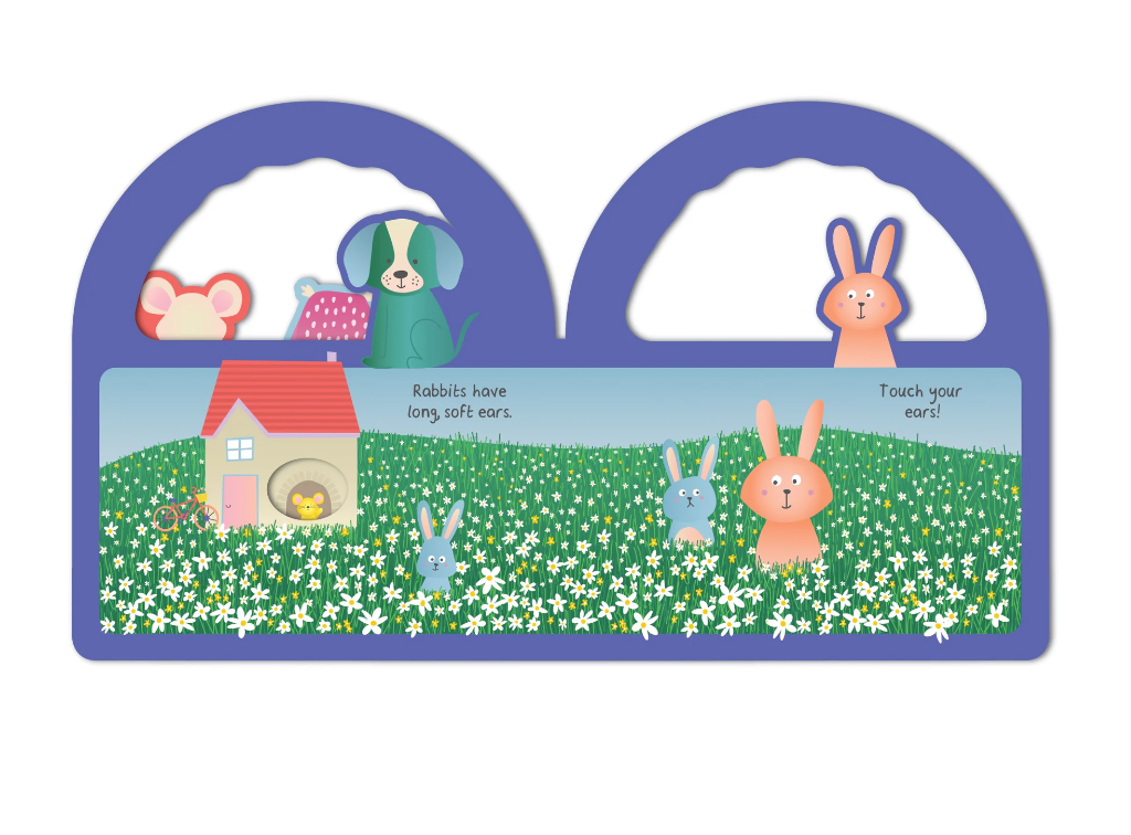 Baby's World - Peek-a-Boo Handle Book - Eyes, Nose, Ears, Toes