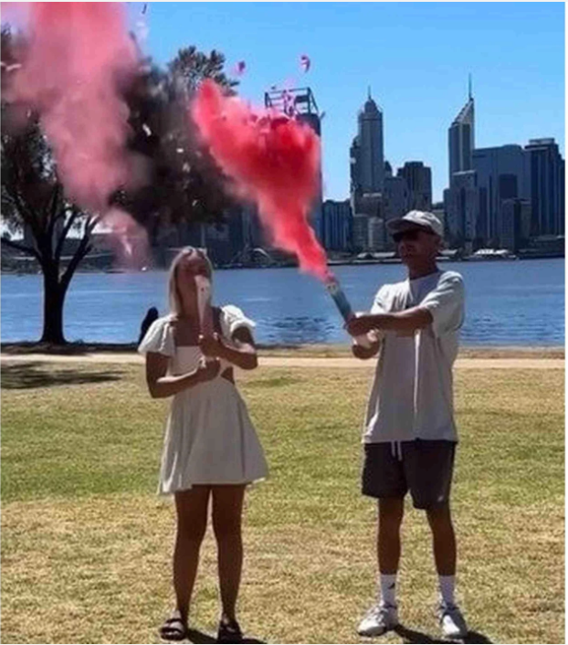 GENDER REVEAL - CONFETTI & POWDER CANNON