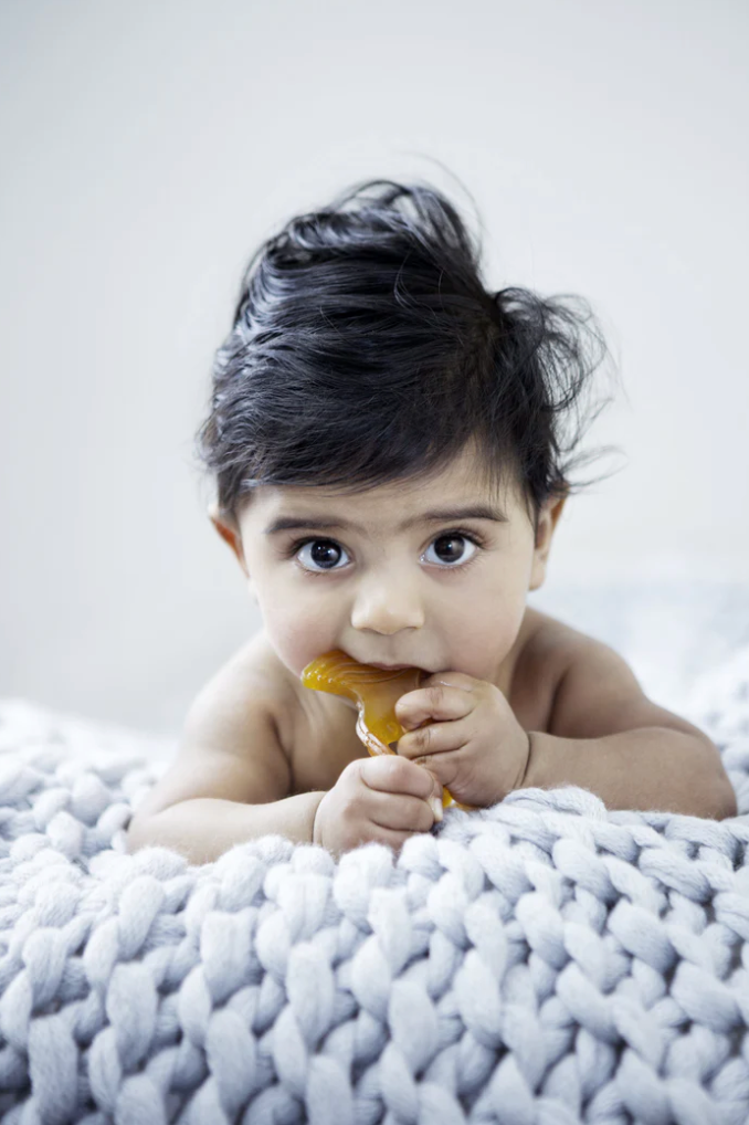 NATURAL RUBBER TEETHER - FISH