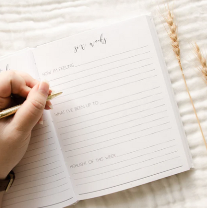 HELLO LITTLE MAMA- PREGNANCY JOURNEY NUDE