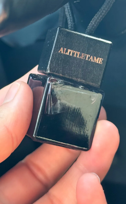 'A LITTLE TAME' car diffuser