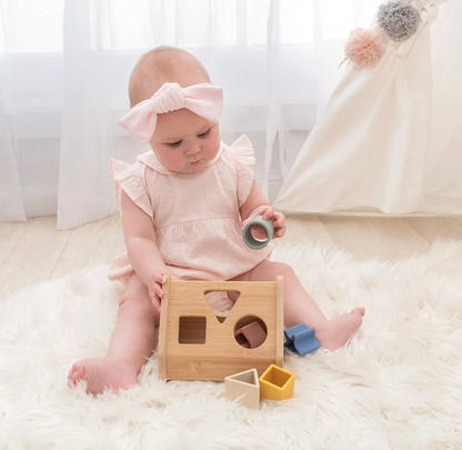 PLAYGROUND - HOUSE SHAPE SORTER