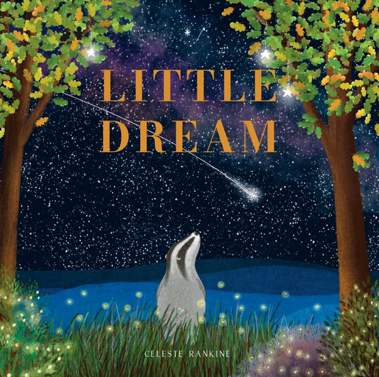 'LITTLE DREAM' BOOK