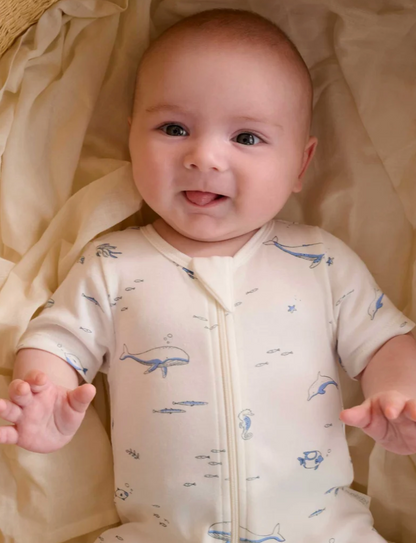 PUREBABY - BLUE NAUTICAL 2 PACK SHORT ZIPPED GROWSUIT