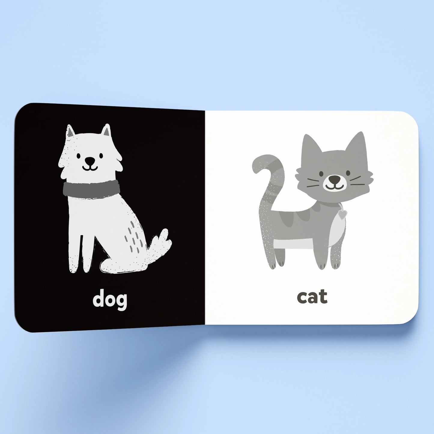 First Words a High-Contrast Board Book