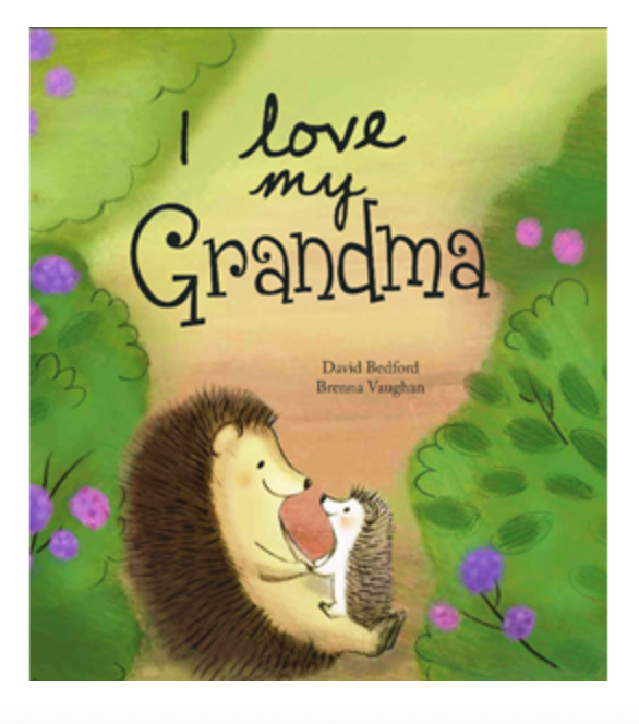 'I LOVE MY GRANDMA' PICTURE BOOK