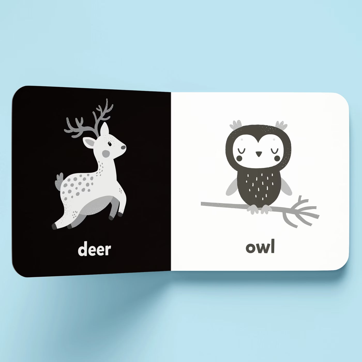 Nature a High-Contrast Board Book