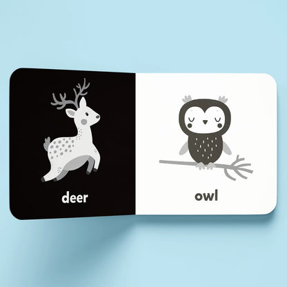 Nature a High-Contrast Board Book