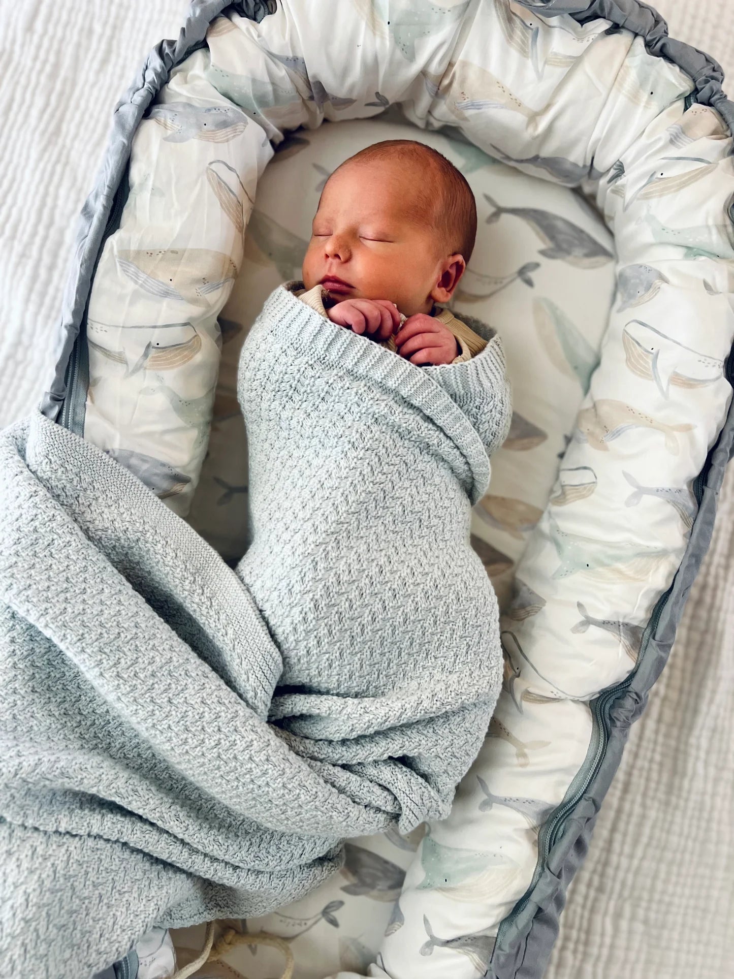 BABY  LOUNGER WHALES